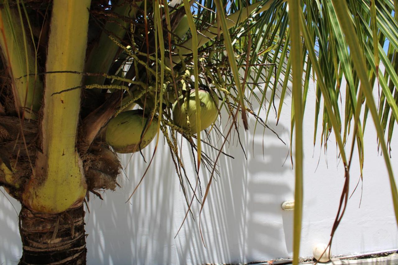 Beachhouse In Barra do Sirinhaém Exterior photo